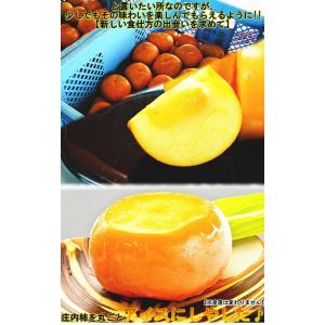 産地直送 庄内柿 シャーベット 約1.7kg ...の詳細画像2