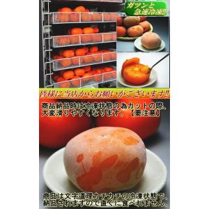 産地直送 庄内柿 シャーベット 約1.7kg ...の詳細画像4