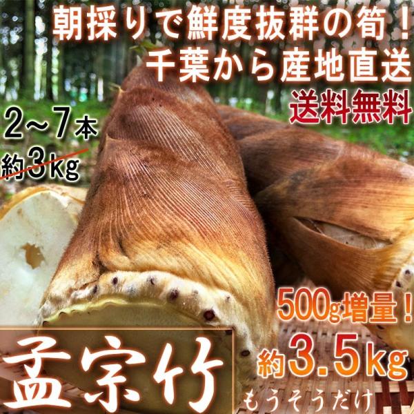 産地直送 孟宗筍 もうそうだけ 生たけのこ 約3.5kg 2〜7本 千葉県産 栽培期間農薬不使用の竹...