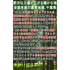 産地直送 孟宗筍 もうそうだけ 生たけのこ 約...の詳細画像2