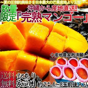 「お盆明け予約」 アーウィンマンゴー  沖縄 2Kg 産地直送 訳あり 家庭用 完熟マンゴー 着色不足 傷 黒点有