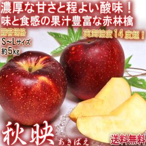 秋映 あきばえ りんご 約5kg 12〜20玉 長野・青森県産 贈答規格 濃厚な甘さと程よい酸味！果汁豊富な美味しい赤林檎