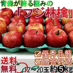 りんご フジ サンふじ 5kg 太陽フジ 12〜20玉 贈答規格 青森県産 赤特等級・センサー選果品 葉とらず栽培で濃厚な甘さ！青森での誇る名産　ふじ林檎