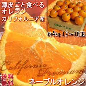ネーブルオレンジ アメリカ カリフォルニア産 糖度抜群 約4kg 食べるオレンジジュース