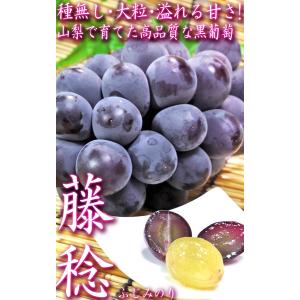 藤稔 ぶどう ふじみのり 約1.5kg 2〜3...の詳細画像1