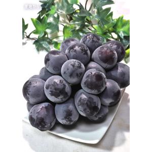 藤稔 ぶどう ふじみのり 約1.5kg 2〜3...の詳細画像4