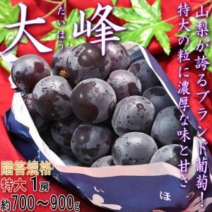 大峰 藤稔ぶどう厳選 約700g〜900g 特大...の商品画像