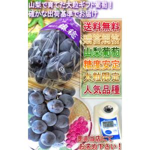 大峰 藤稔ぶどう厳選 約700g〜900g 特...の詳細画像4