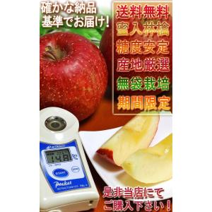 蜜いわて サンフジ林檎 約5kg 8〜14玉 ...の詳細画像4