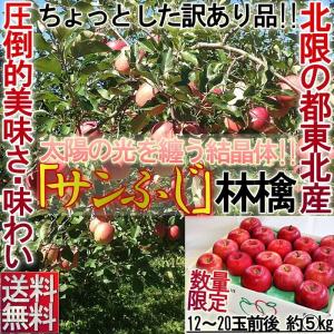 サンふじ りんご 約5kg 訳あり 山形 福島 青森より厳選 家庭用 正規品の外部エラー 東北育ちのフジ林檎！