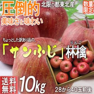 サンふじ 蜜入り りんご 10kg 訳あり 山形 福島 青森より厳選 家庭用 正規品の外部エラー 東北育ちのフジ林檎！