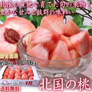北国もも 約5kg 10〜16玉 山形県産中心 贈答規格 桃の北限で育てた抜群の味！豊かな甘さと歯ごたえのモモ