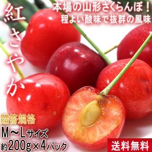 紅さやか さくらんぼ 約1kg M〜Lサイズ 山形県産 訳あり品 程よい酸味