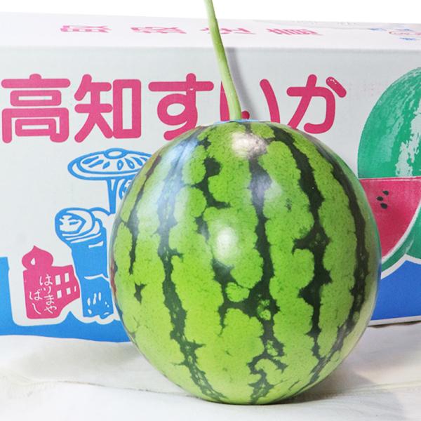 高知スイカ 約2.5kg 1玉 高知県産 贈答規格 茜空中心 空中立体栽培で陽の光を一杯に浴びて育っ...