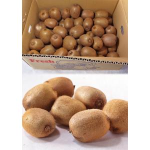 キウイフルーツ 小玉 約5kg Sサイズ中心 ...の詳細画像4