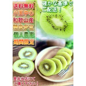 キウイフルーツ 小玉 約5kg Sサイズ中心 ...の詳細画像5