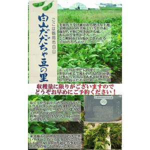 産地直送 だだちゃ豆 えだまめ 約1kg 山形...の詳細画像2