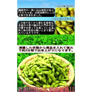 産地直送 だだちゃ豆 えだまめ 約1kg 山形...の詳細画像4