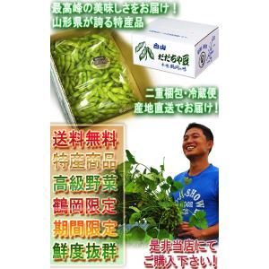 産地直送 だだちゃ豆 えだまめ 約1kg 山形...の詳細画像5