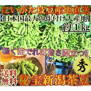 産地直送 新潟茶豆 約1kg 贈答規格 新潟県産 枝豆の本場から直送で抜群の味と鮮度！秀品・A品規格の高級えだまめ