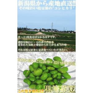 産地直送 新潟茶豆 約1kg 贈答規格 新潟県...の詳細画像1