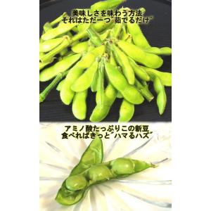 産地直送 新潟茶豆 約1kg 贈答規格 新潟県...の詳細画像3