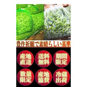 産地直送 新潟茶豆 約1kg 贈答規格 新潟県...の詳細画像4