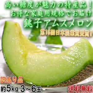 銚子アムスメロン 約5kg 2〜6玉入り 千葉県産 訳あり品 JAちばみどり お得な家庭用！日本農業賞受賞の高糖度ブランドフルーツ
