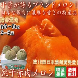 銚子アムスメロン 約6kg 2〜6玉入り 千葉県産 贈答規格 JAちばみどり 