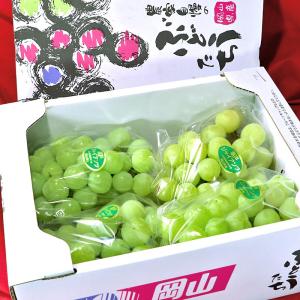 瀬戸ジャイアンツ 白ぶどう 約1kg 2〜3房 岡山県産 贈答規格 JA共撰品 皮ごと食べる高級葡萄！パリっとした食感と甘さが魅力のギフトフルーツ ブドウ