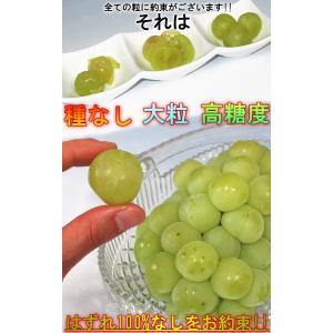 瀬戸ジャイアンツ 白ぶどう 約1kg 2〜3房...の詳細画像3