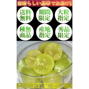 瀬戸ジャイアンツ 白ぶどう 約1kg 2〜3房...の詳細画像4