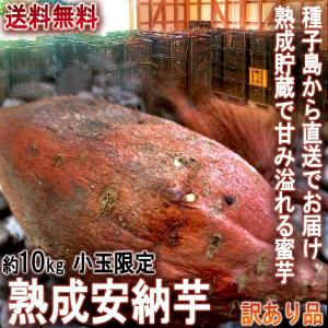 産地直送 安納芋 さつまいも 10kg 小玉限定 3S〜Sサ...