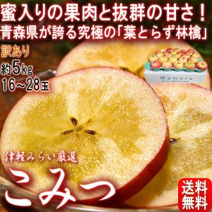 こみつ 葉とらず林檎 約5kg 16〜28玉 青森県産 訳あり品 JA津軽みらい 着色不足のため家庭用規格！蜜入りの果肉に高い糖度と濃厚な味