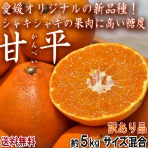 ●甘平 かんぺい 小玉限定 約5kg 訳あり品 サイズ混合 愛媛県産 個人農家産中心 濃厚な甘さの高級柑橘をお得な価格でお届け！