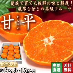 極旨】甘平（かんぺい）お得用10kg（愛媛県大三島産） : 俺のみかん
