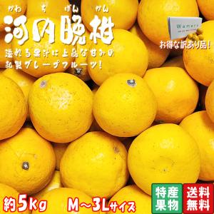 河内晩柑 かわちばんかん 約5kg 熊本県産 訳あり品 豊富な果汁と上品な甘さの和製グレープフルーツ！