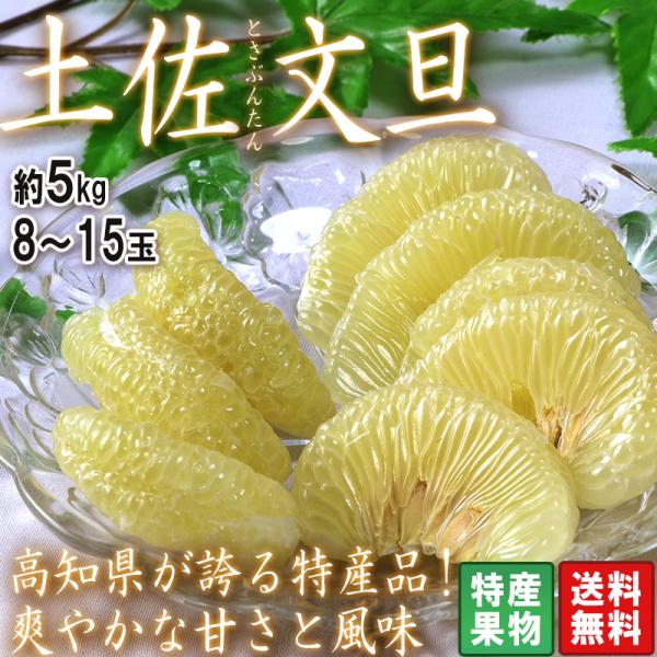 土佐文旦 ブンタン 約5kg 8〜15玉 高知県産 高知が誇る特産品！爽やかな風味と甘さのギフトフル...