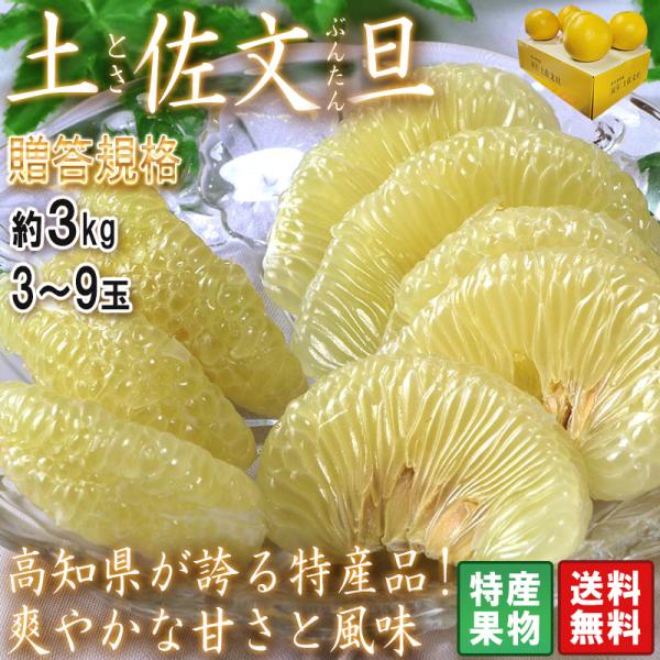 土佐文旦 ブンタン 温室栽培 約3kg 3〜9玉 高知県産 化粧箱入り ギフト最適な特産品のフルーツ...