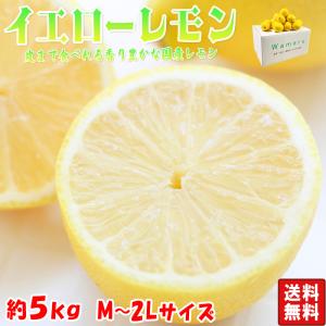 イエローレモン 約5kgM〜2Lサイズ 愛媛県産・熊本県産 皮まで食べれる香り豊かな国産レモン｜wamers