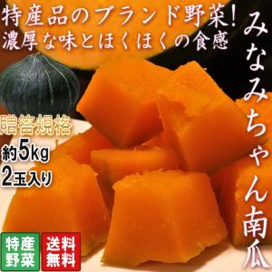 みなみちゃん南瓜 ブランドかぼちゃ 約5kg 2玉入り