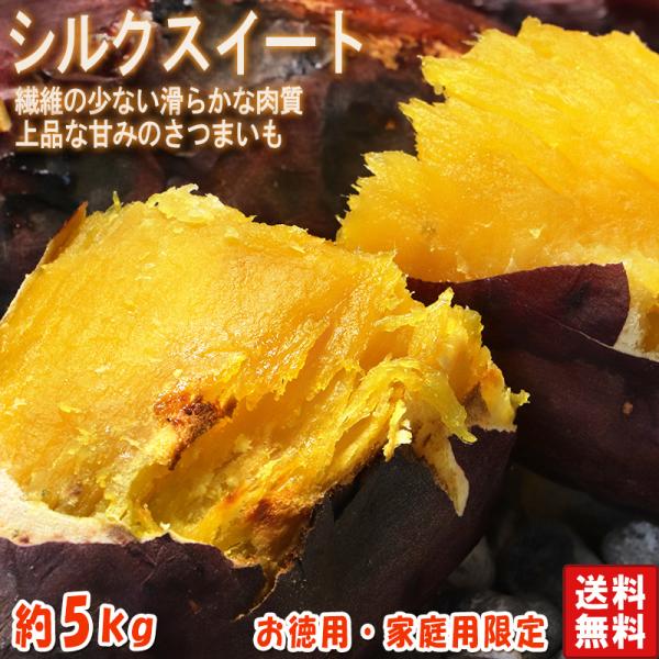 シルクスイート さつまいも 約5kg 千葉県・茨城県産 お得用 家庭用限定 産地箱入り 滑らかな食感...