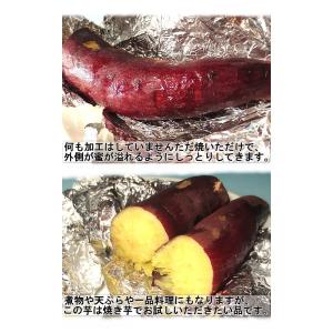 シルクスイート さつまいも 約5kg 千葉県・...の詳細画像2