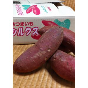 シルクスイート さつまいも 約5kg 千葉県・...の詳細画像5