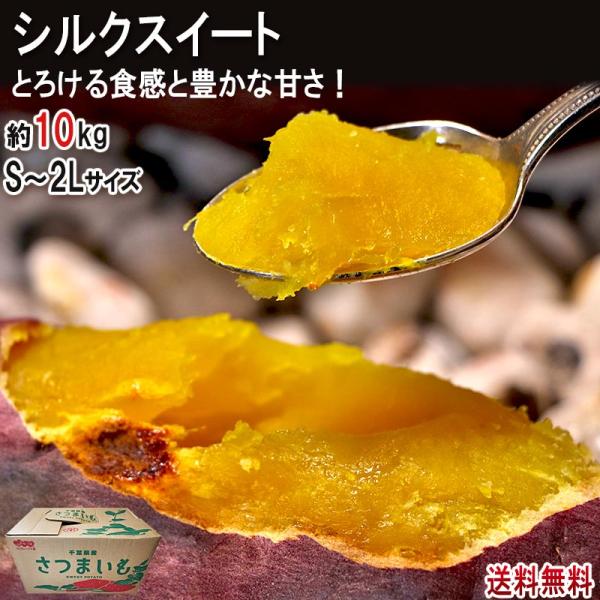 シルクスイート さつまいも 約10kg S〜2Lサイズ 千葉県・茨城県産 訳あり品 大容量 滑らかな...