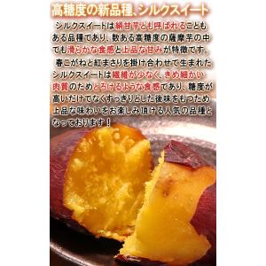 さつまいも 甘熟蜜いも 約5kg シルクスイー...の詳細画像3