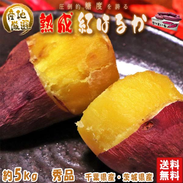 【秀品】紅はるか 約5kg 千葉県・茨城県産 ダントツの甘さを誇る紅はるか！ ギフトや贈答品にもオス...