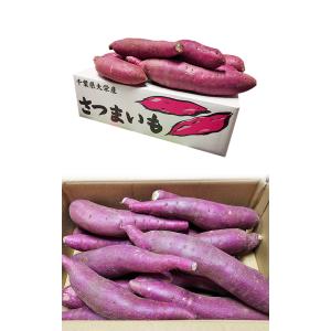 【秀品】紅はるか 約5kg 千葉県・茨城県産 ...の詳細画像4