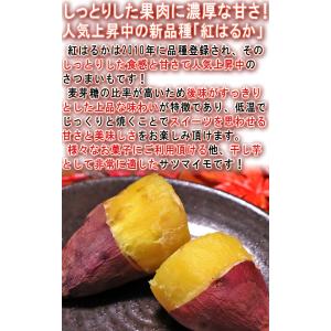 【秀品】紅はるか 約10kg 千葉県・茨城県産...の詳細画像1