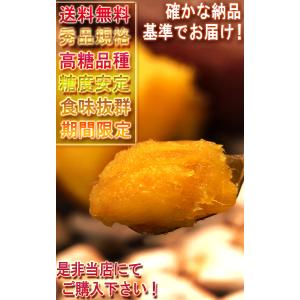 【秀品】紅はるか 約2.5kg 千葉県・茨城県...の詳細画像5